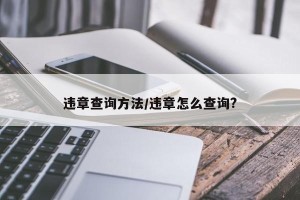 违章查询方法/违章怎么查询?